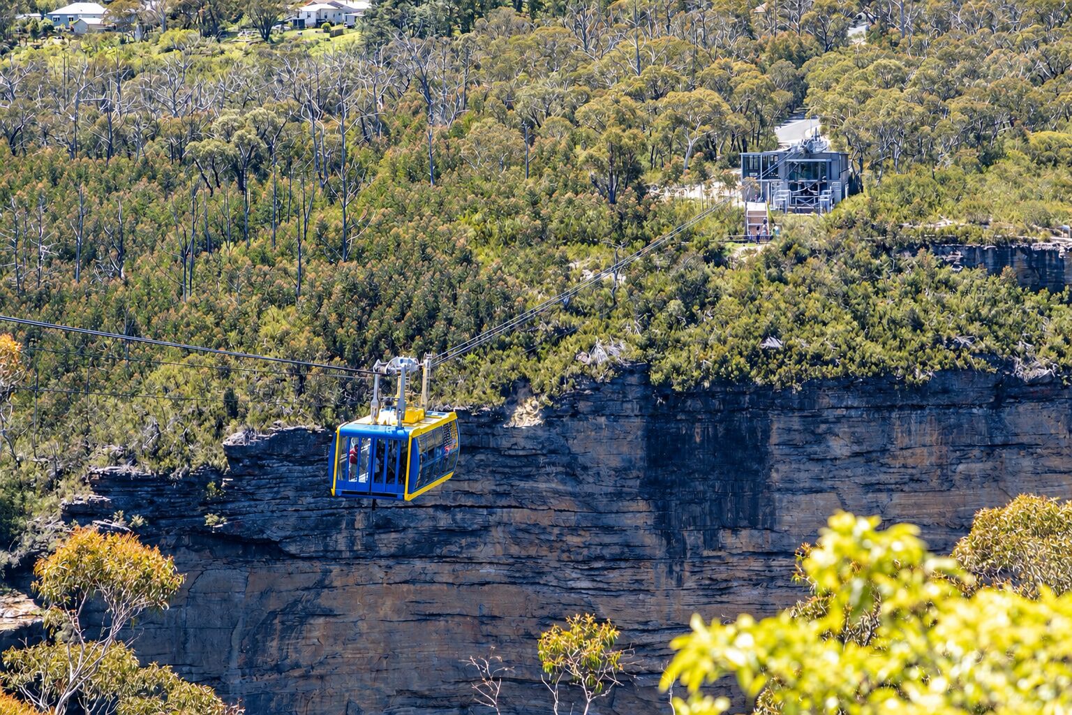 A headline attraction at Scenic World