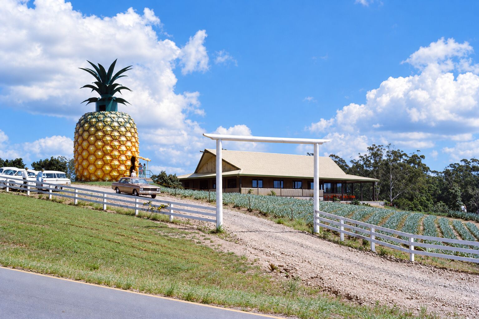 The Big Pineapple — A Sunshine Coast icon reborn.