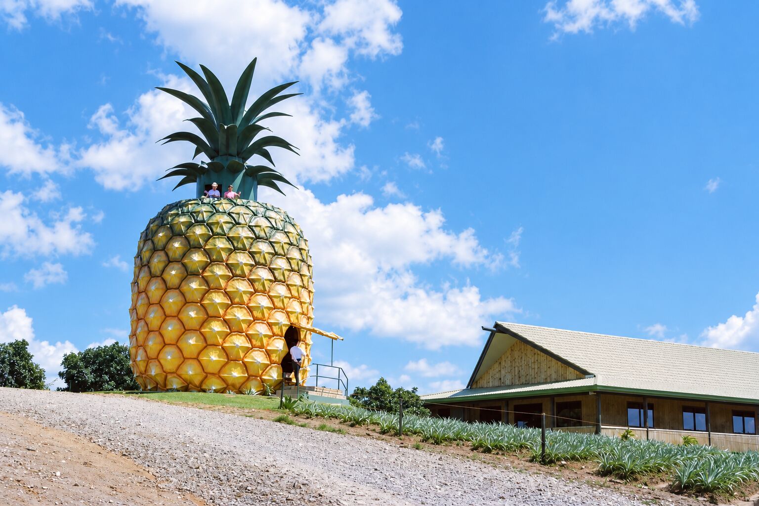 Families enjoying The Big Pineapple